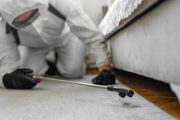Professional Termite Control technician working in Gloster, MS