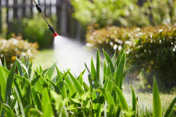 24/7 Emergency Termite Control experts in Gloster, MS