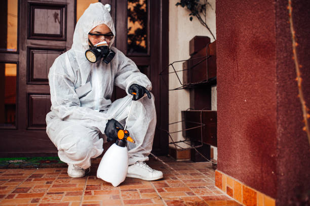 Reliable Termite Control contractor in Gloster, MS by Nex Pest Control